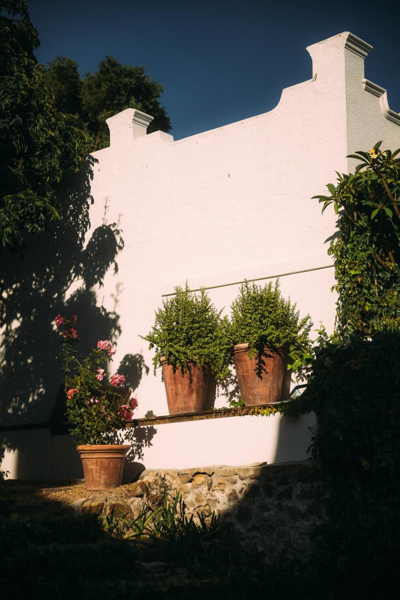 Bed and Breakfast Acorn House Ciudad del Cabo Exterior foto