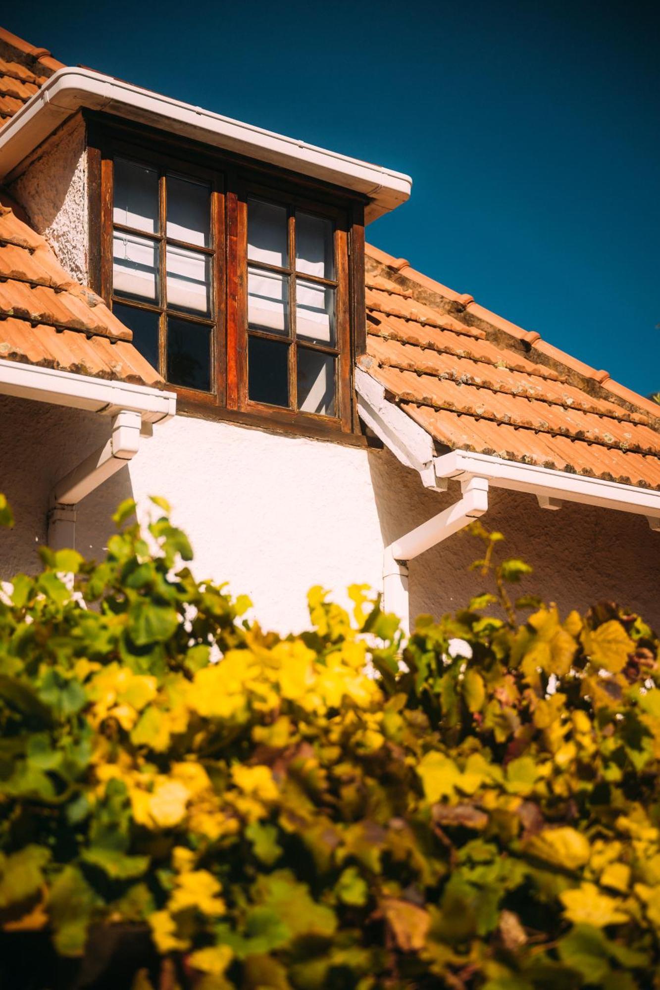Bed and Breakfast Acorn House Ciudad del Cabo Exterior foto