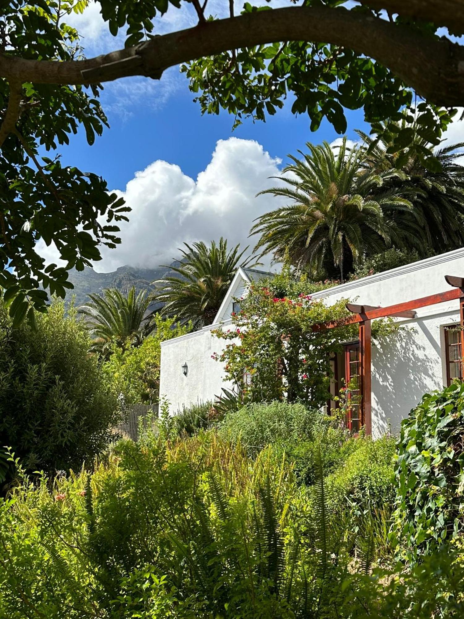 Bed and Breakfast Acorn House Ciudad del Cabo Exterior foto