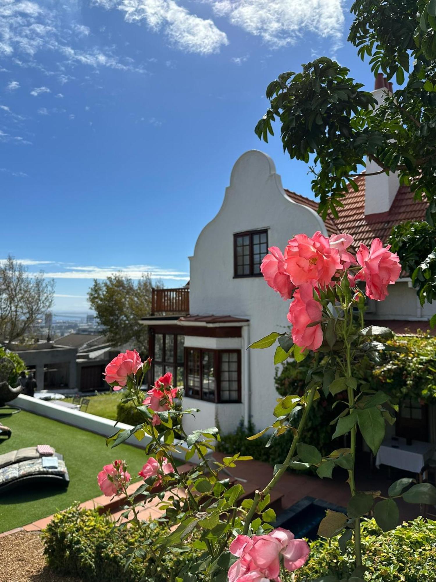 Bed and Breakfast Acorn House Ciudad del Cabo Exterior foto